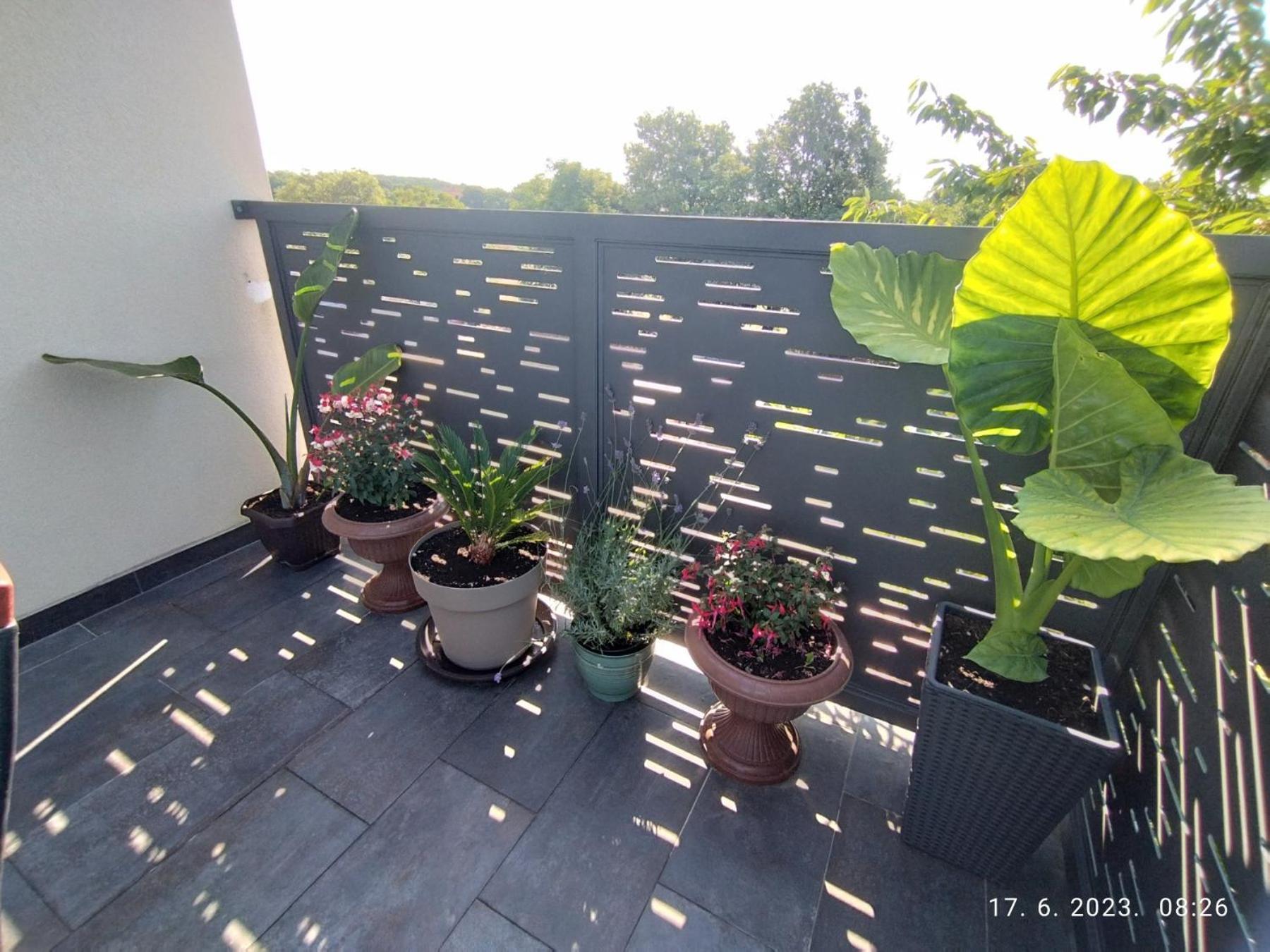 Apartment Zelena Oaza Sisan 75 M2 - 2 Bedrooms Buitenkant foto