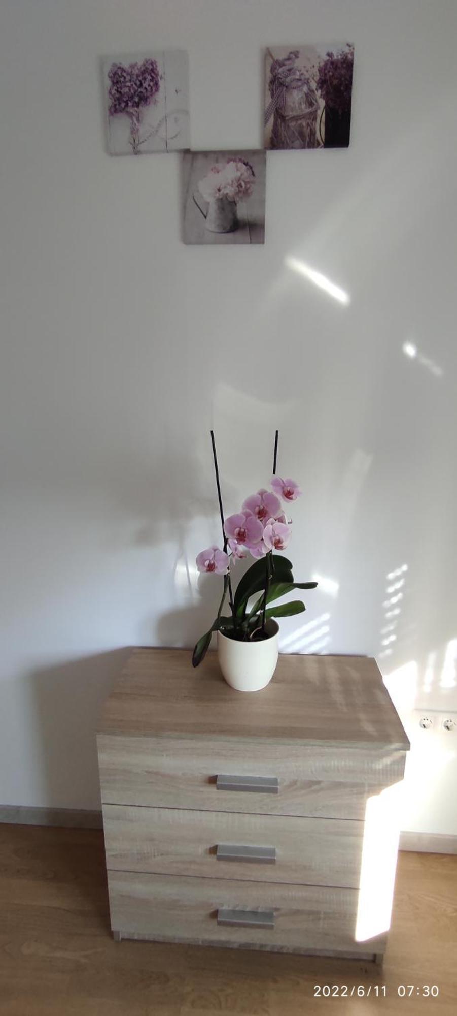 Apartment Zelena Oaza Sisan 75 M2 - 2 Bedrooms Buitenkant foto